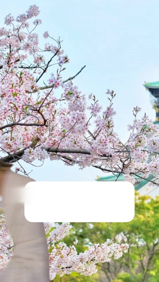 Post 9 by Japanese Teacher Ai-Sensei on TikTok (video)