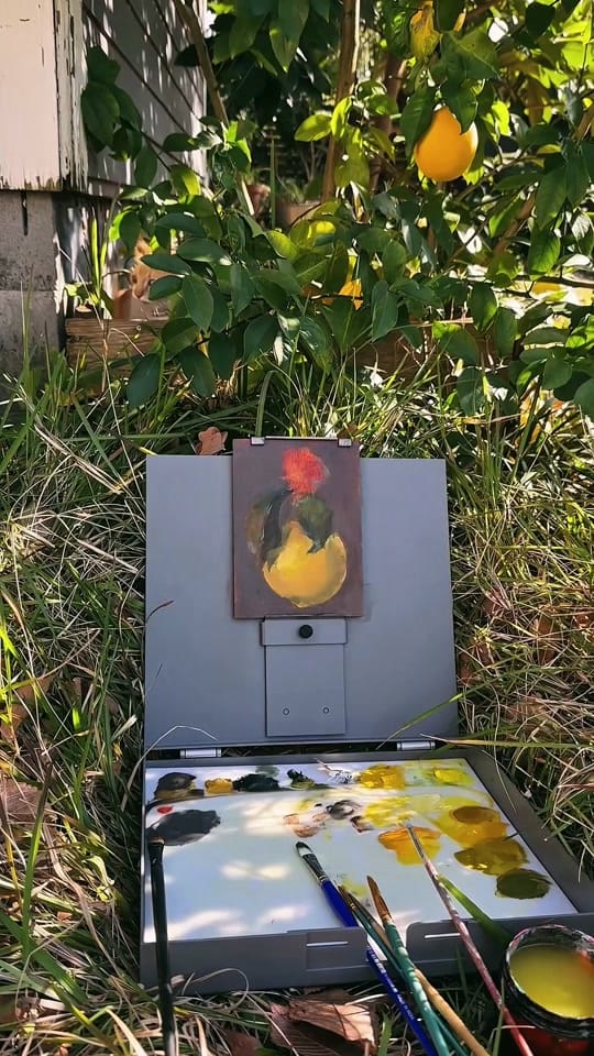 Post 5 by Callie Beale Harper on TikTok (video)