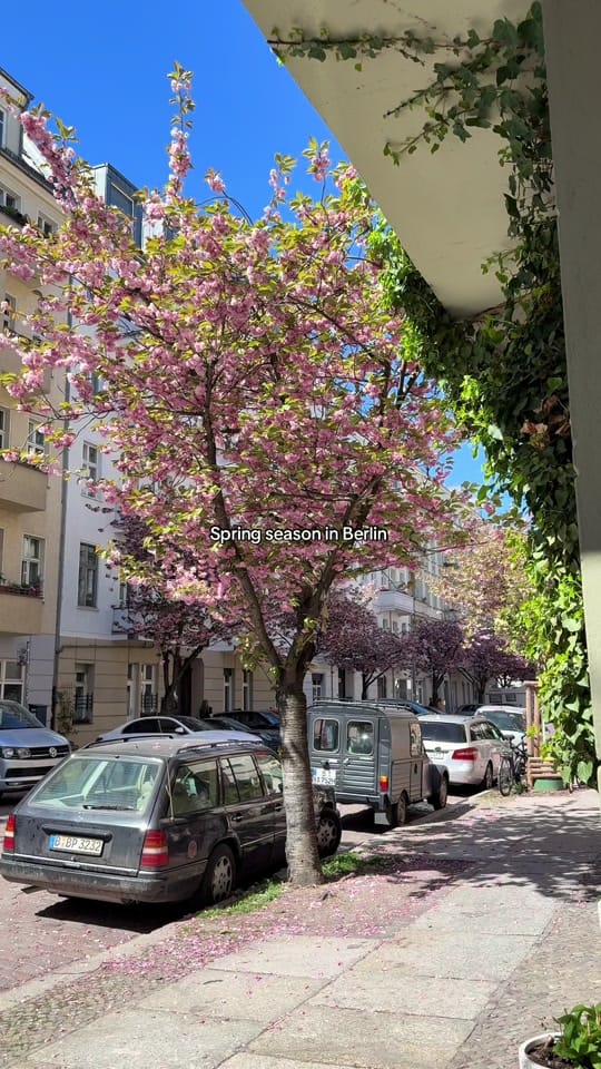 Post 7 by juliastraffic on TikTok (video)