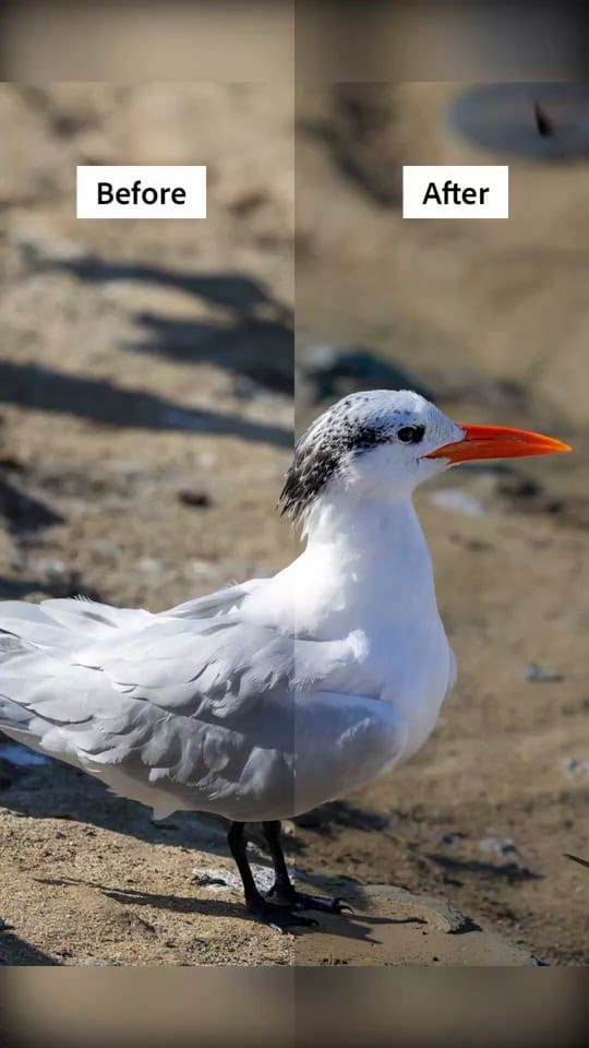 Post 7 by Gali SD on TikTok (video)
