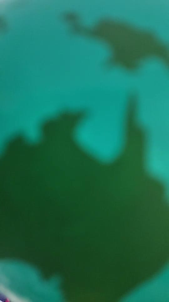 Post 6 by Sam Cremeens on TikTok (video)