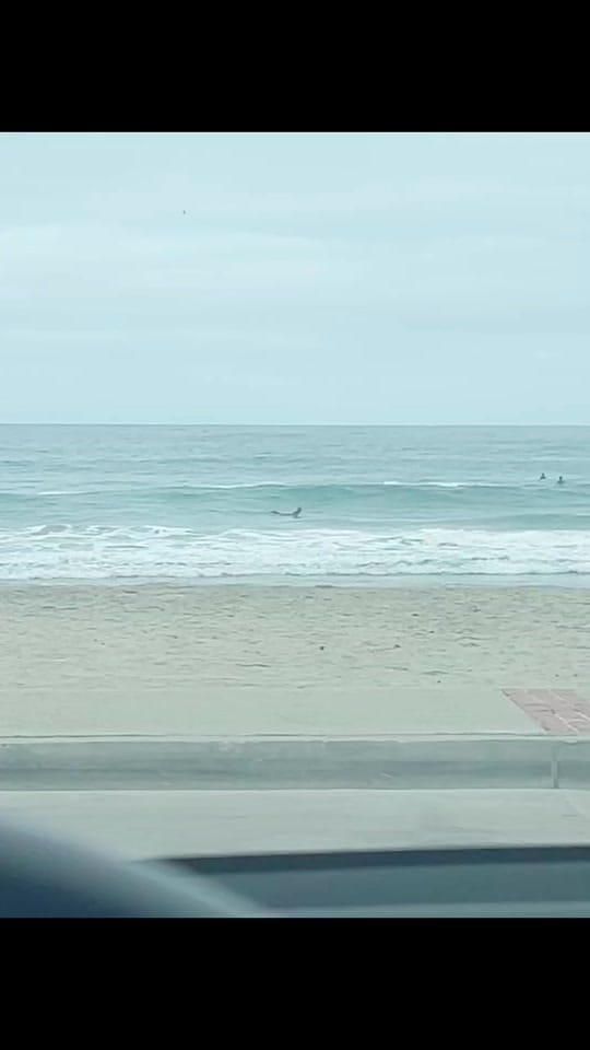 Post 8 by laudolcevita on TikTok (video)