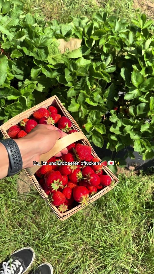 Post 10 by Lara🤍 on TikTok (video)