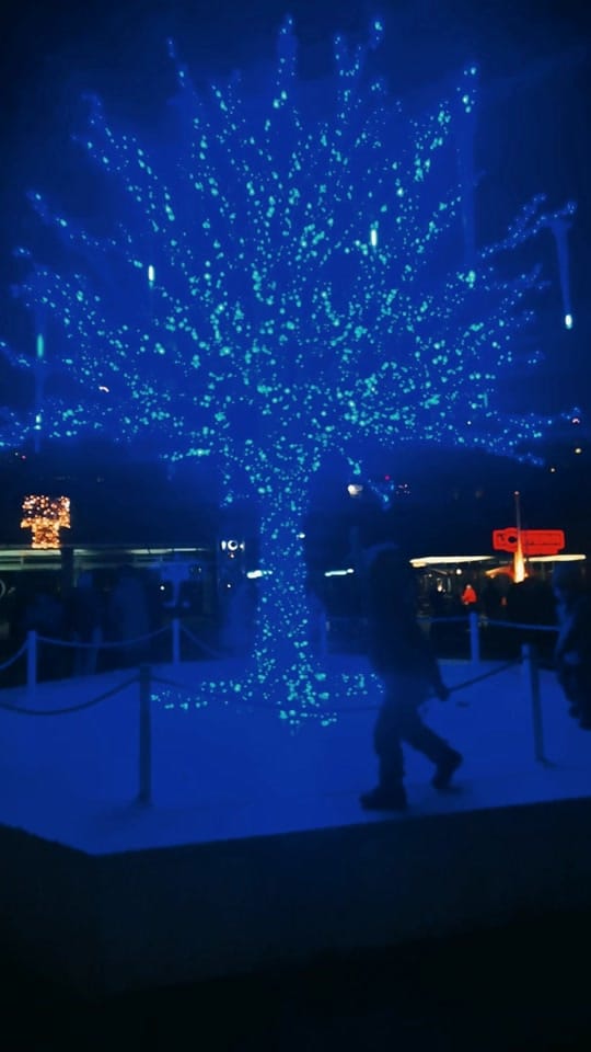Post 10 by Germany on TikTok (video)