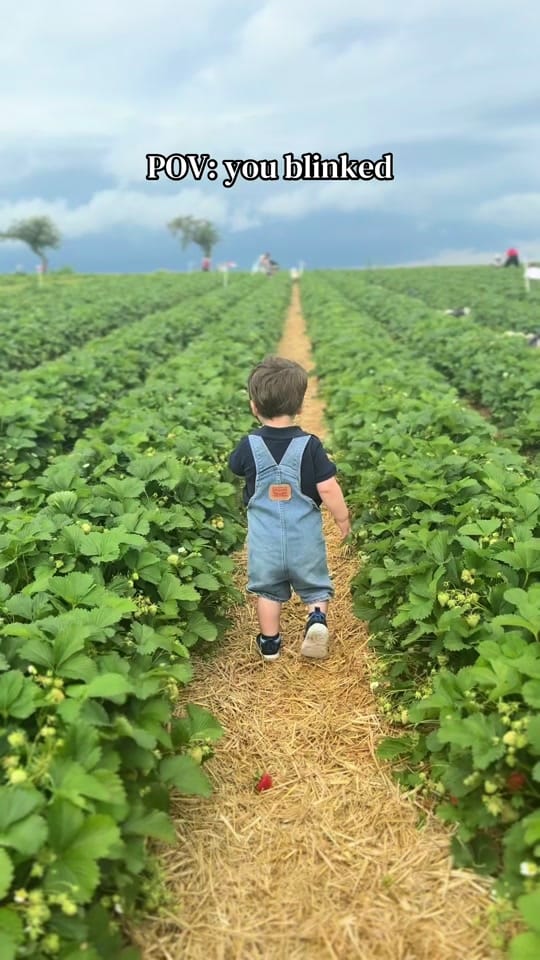 Post 2 by Gianna & Milo | living in 🇩🇪 on TikTok (video)