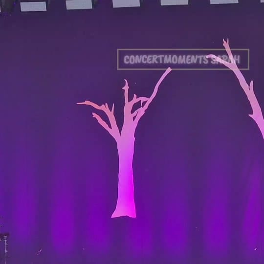 Post 4 by Thunder Sarah 💥Team phönix💥 on TikTok (video)