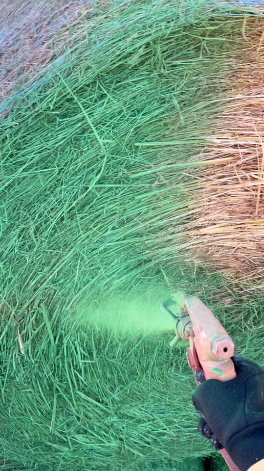 Post 8 by Samantha Cox on TikTok (video)
