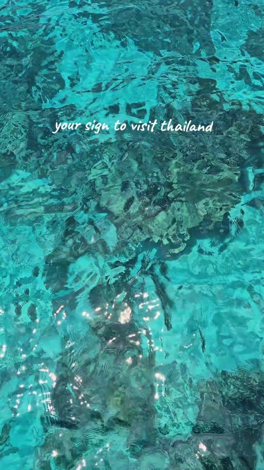 Post 3 by 𝕄 𝕖 𝕝 𝕝 𝕚 on TikTok (video)