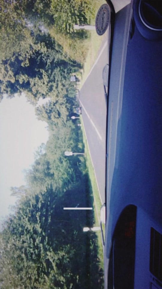 Post 8 by nastja on TikTok (video)