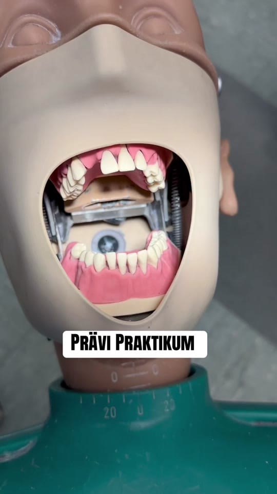 Post 7 by Dedi | 🦷 🩺 on TikTok (video)