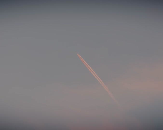 Post 3 by robinswildlife on TikTok (video)