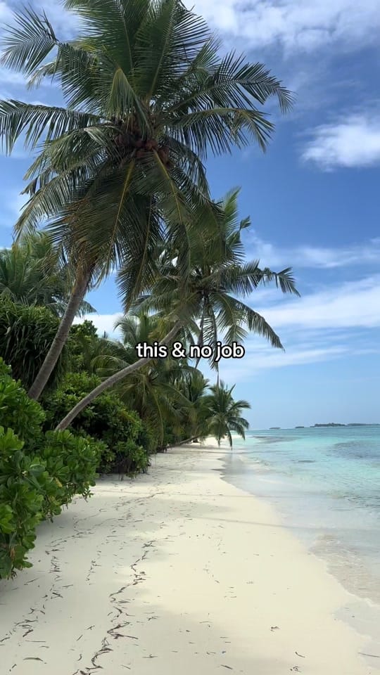 Post 7 by Jill | Travel 🌴✈️☀️ on TikTok (video)