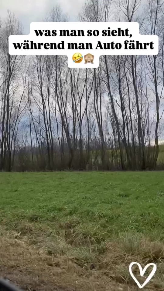Post 3 by Katrin 🤍 on TikTok (video)