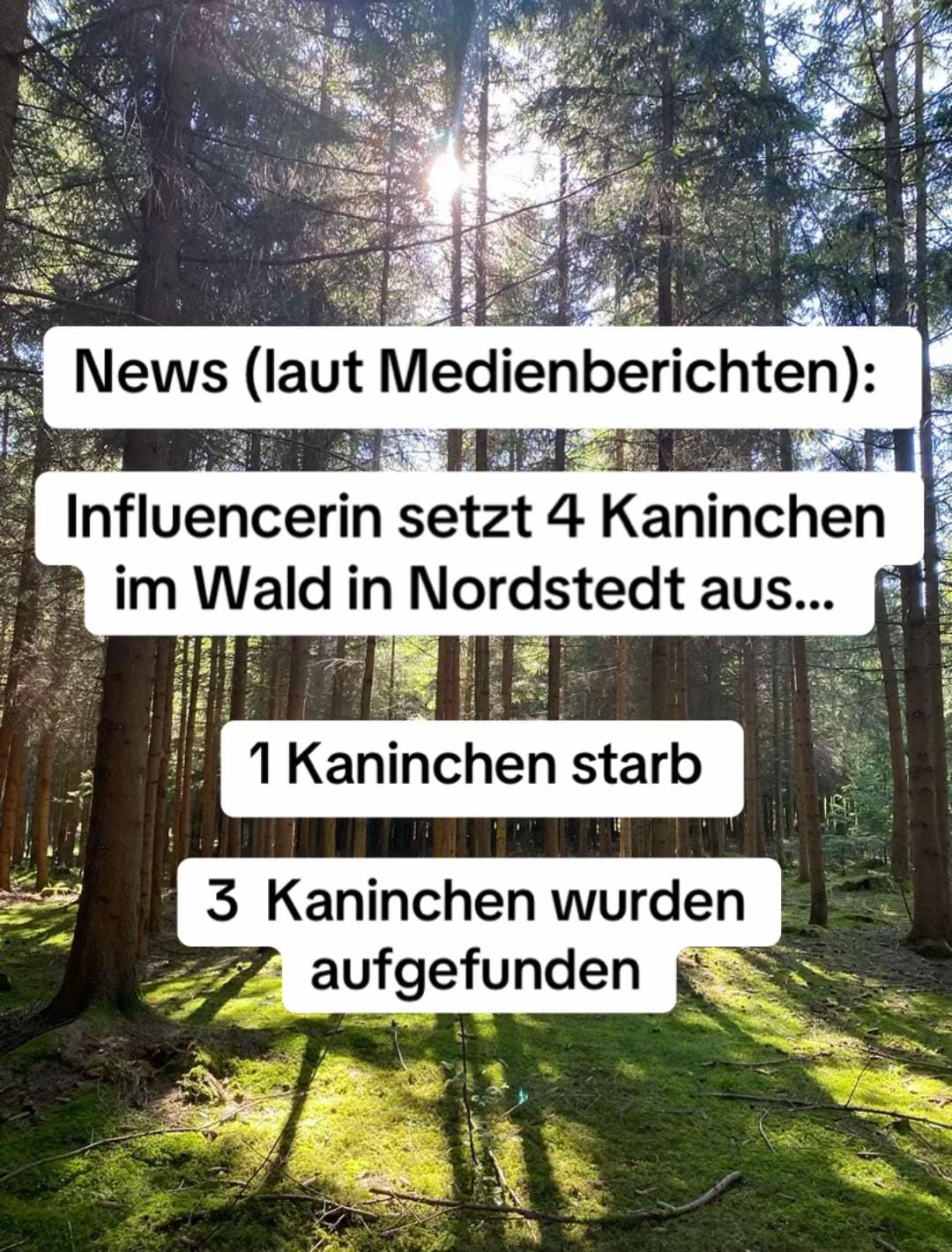 Post 4 by Katrin 🤍 on TikTok (video)