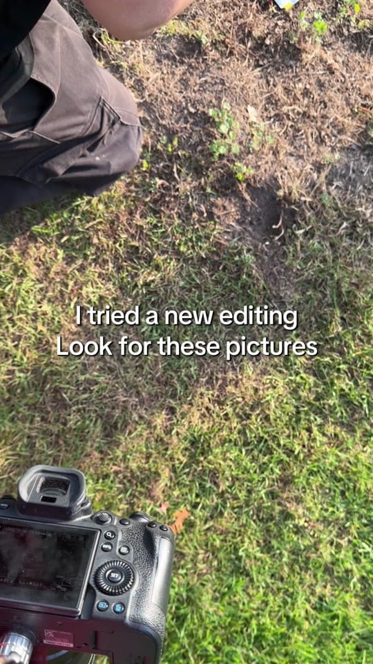 Post 1 by viii. on TikTok (video)
