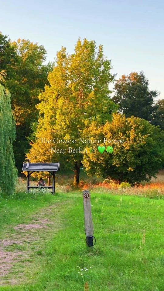 Post 3 by Mayson Berliner on TikTok (video)