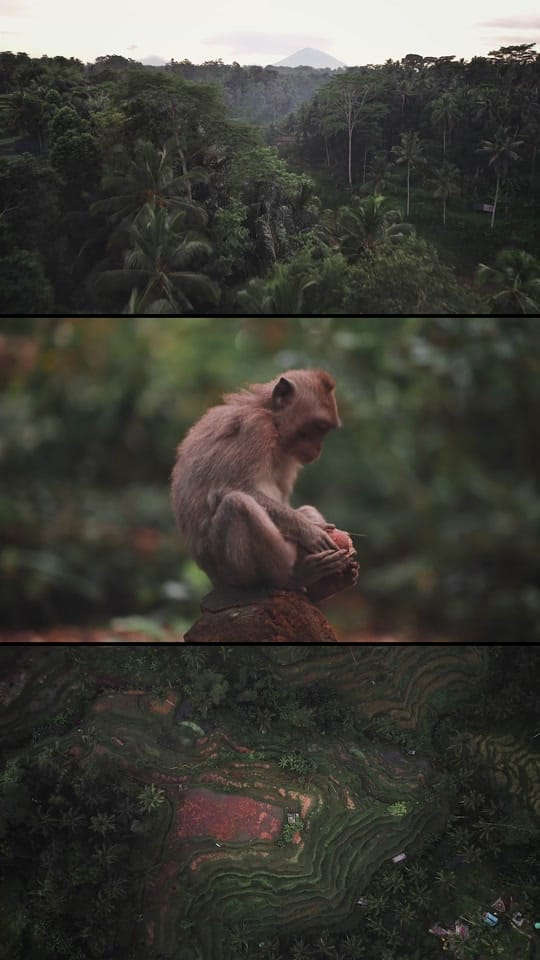 Post 4 by jonas hausmann on TikTok (video)