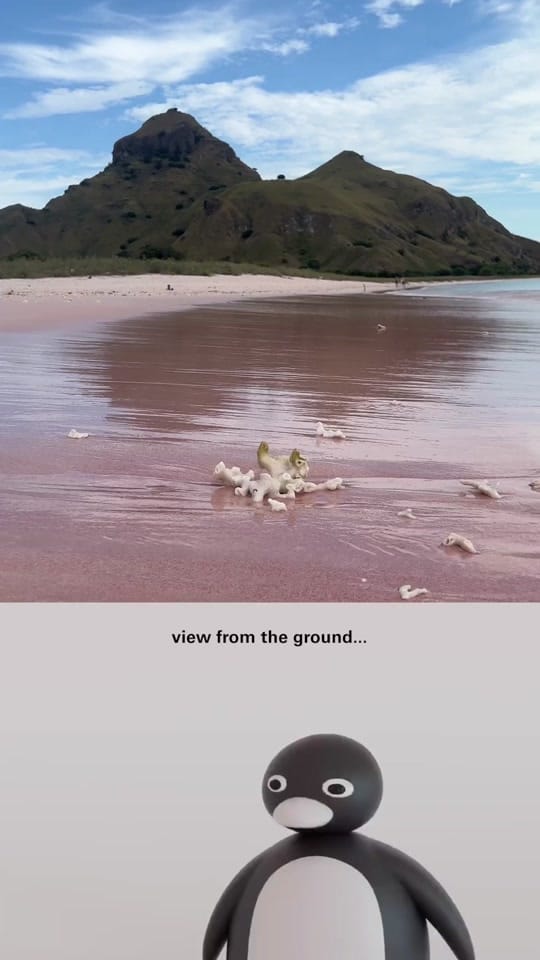 Post 5 by jonas hausmann on TikTok (video)