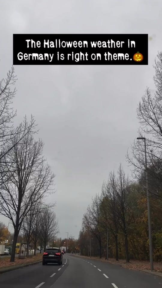 Post 7 by megha_in_Germany on TikTok (video)