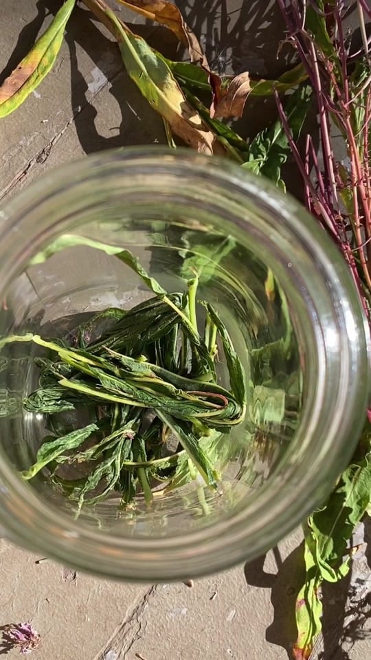 Post 8 by Emily Poole on TikTok (video)