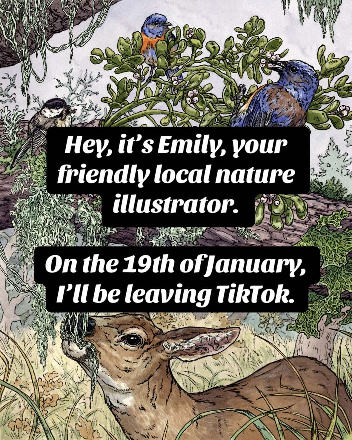 Post 2 by Emily Poole on TikTok (video)