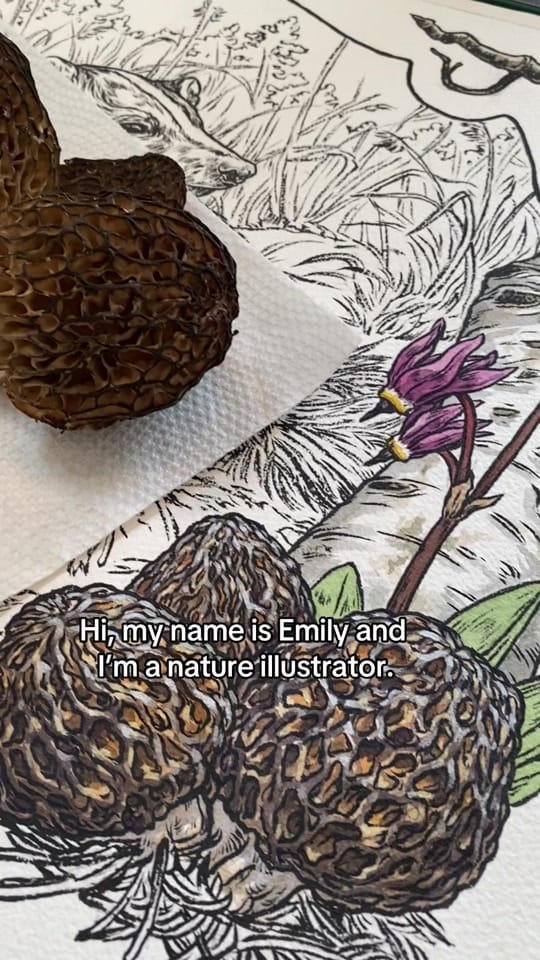 Post 10 by Emily Poole on TikTok (video)