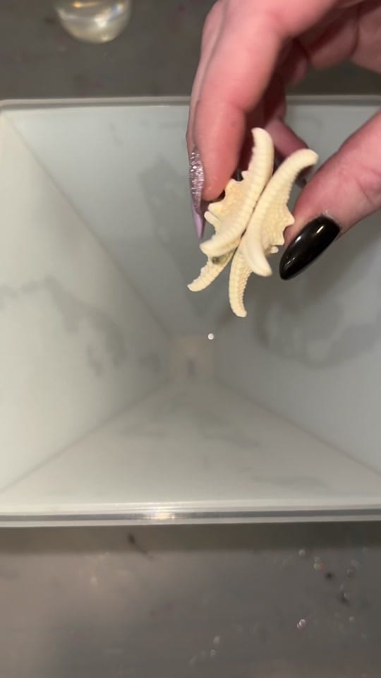 Post 10 by InspiredByMemms on TikTok (video)