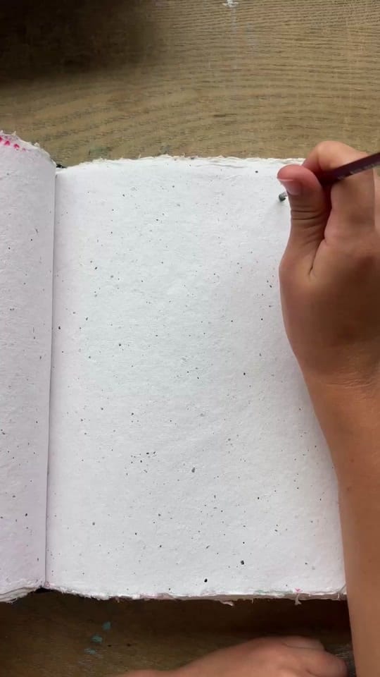 Post 8 by Lizi Phoenix on TikTok (video)