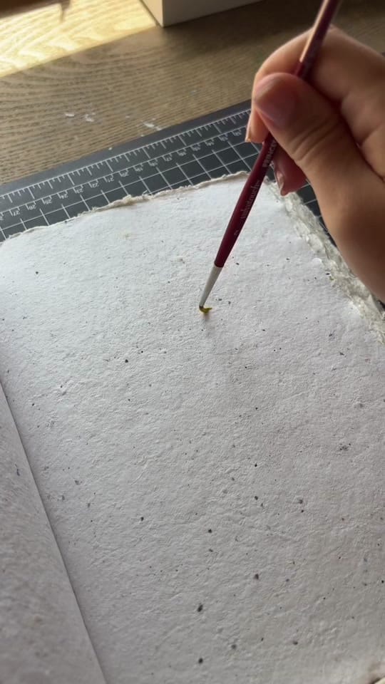 Post 4 by Lizi Phoenix on TikTok (video)