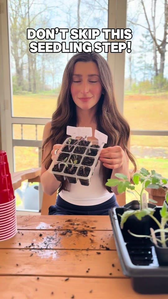 Post 8 by Kylie | Garden & DIY👩‍🌾 on TikTok (video)