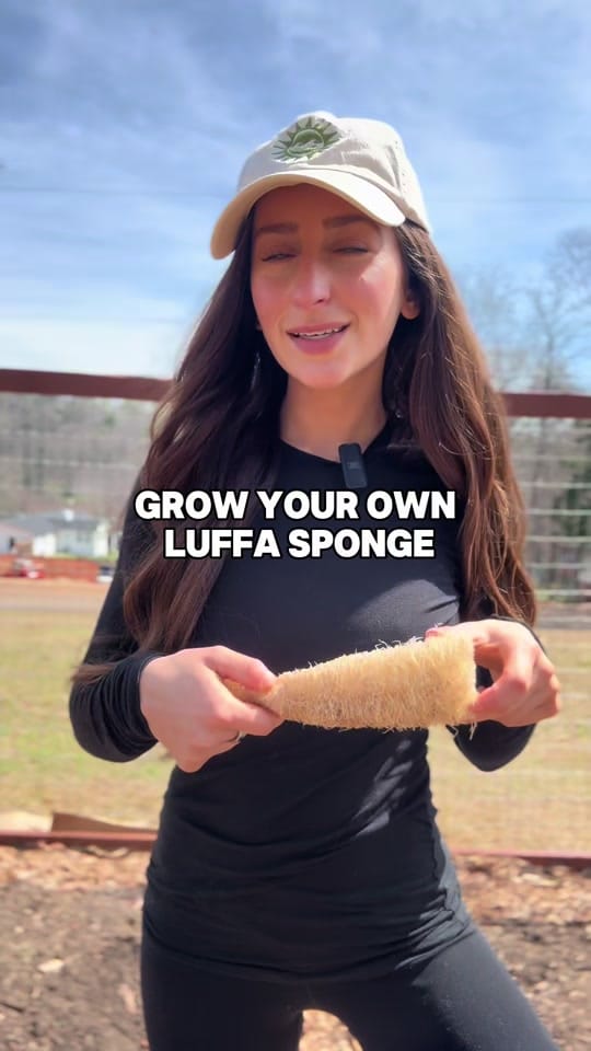 Post 9 by Kylie | Garden & DIY👩‍🌾 on TikTok (video)