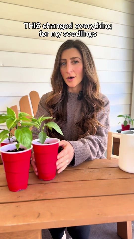 Post 4 by Kylie | Garden & DIY👩‍🌾 on TikTok (video)