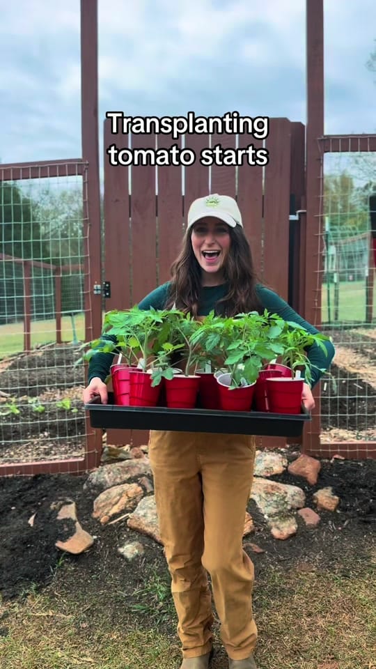 Post 3 by Kylie | Garden & DIY👩‍🌾 on TikTok (video)