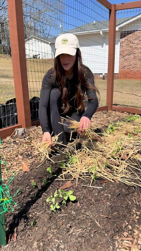 Post 10 by Kylie | Garden & DIY👩‍🌾 on TikTok (video)