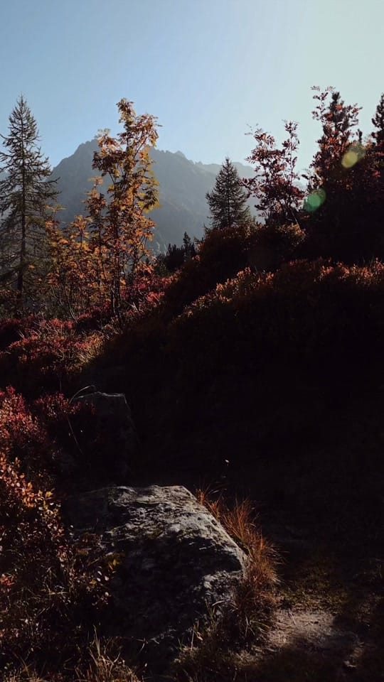 Post 6 by Frauki on TikTok (video)