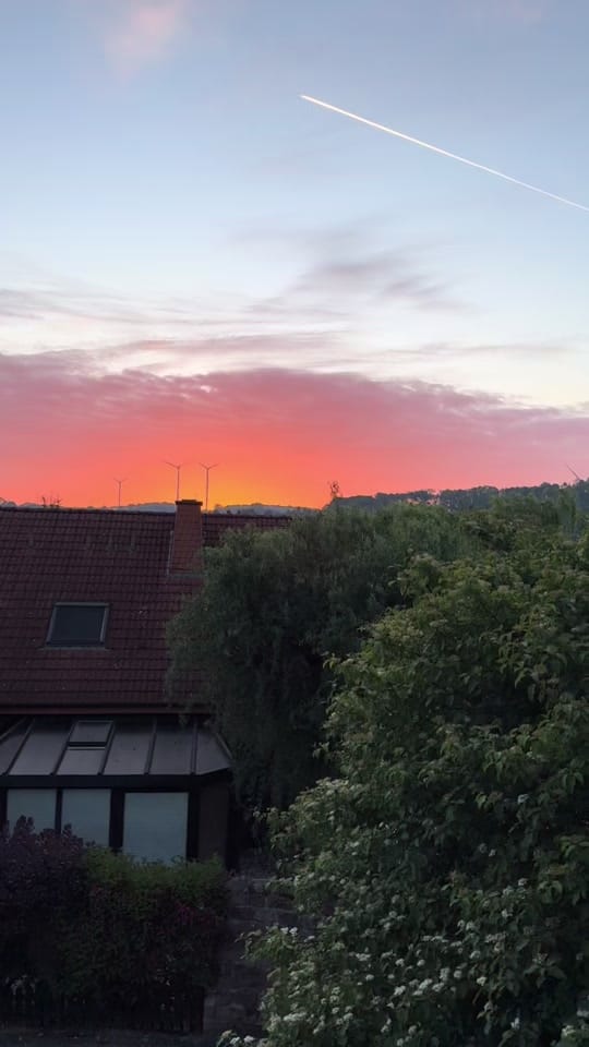 Post 4 by 🌹Be Ya🌹  🇹🇳🇩🇪 on TikTok (video)
