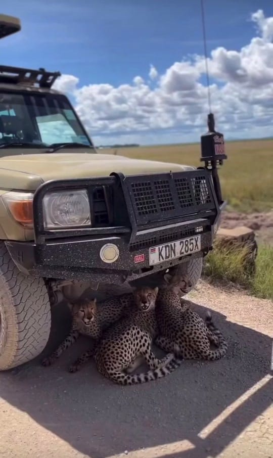 Post 5 by Bucket List Kenya ™ on TikTok (video)