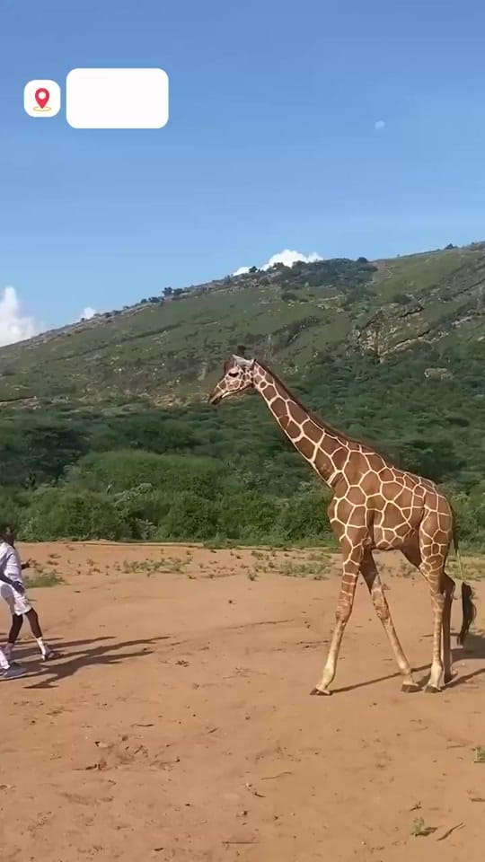 Post 7 by Bucket List Kenya ™ on TikTok (video)
