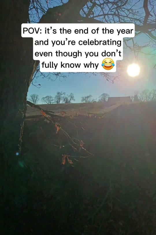 Post 5 by so_m_a_n_d_y_📚 on TikTok (video)