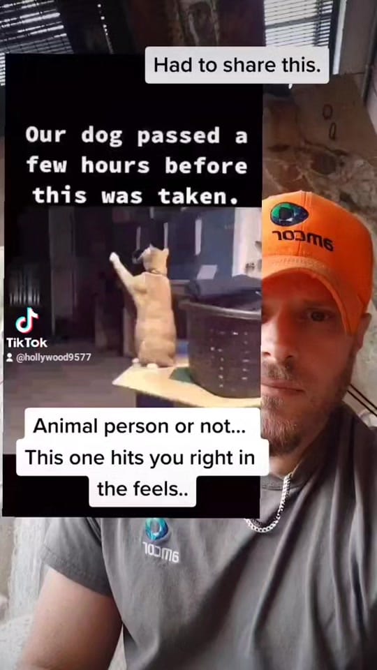 Post 10 by Rob (Hollywood) on TikTok (video)