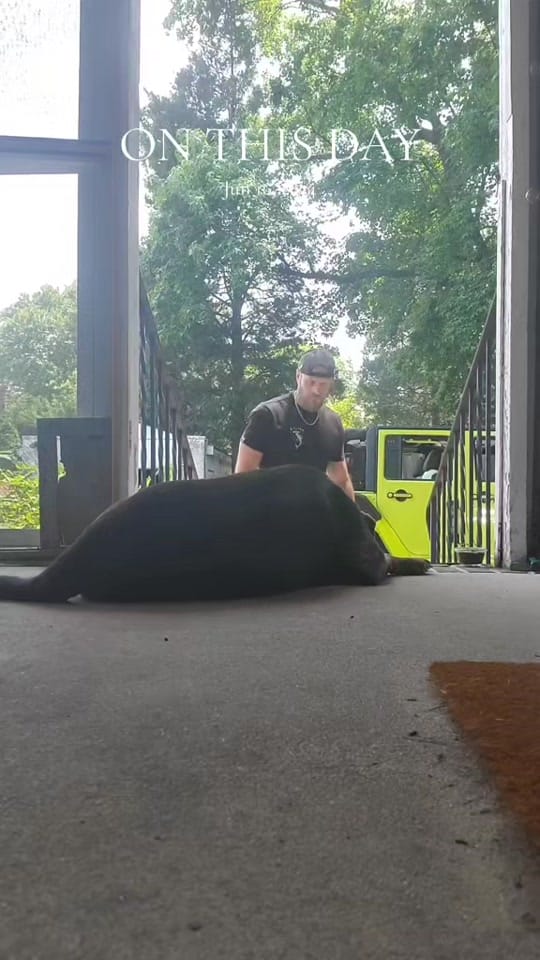 Post 1 by Rob (Hollywood) on TikTok (video)