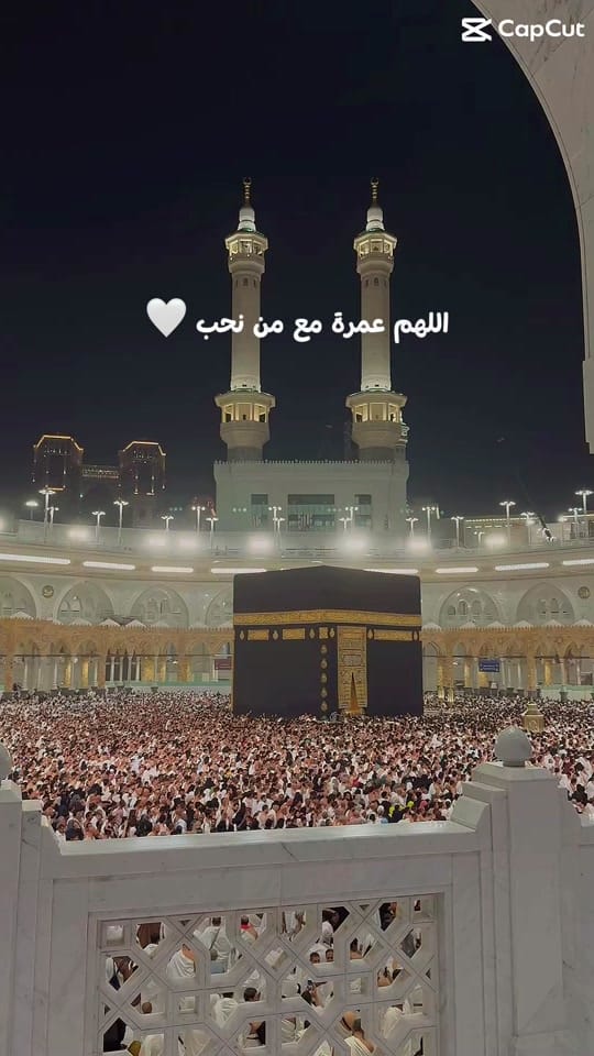 Post 8 by Dr Jomard on TikTok (video)