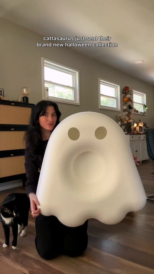 Post 1 by stephany on TikTok (video)