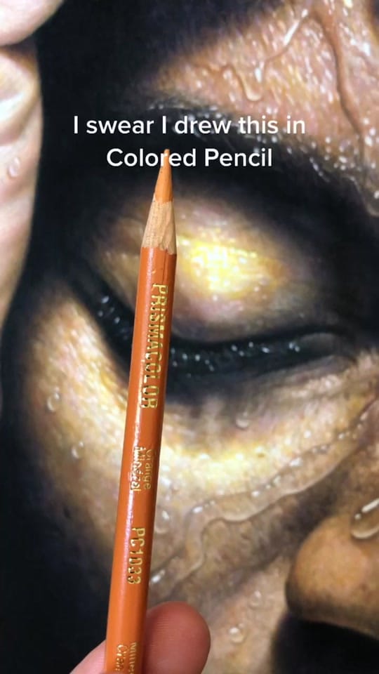Post 9 by Jesse Lane Art on TikTok (video)