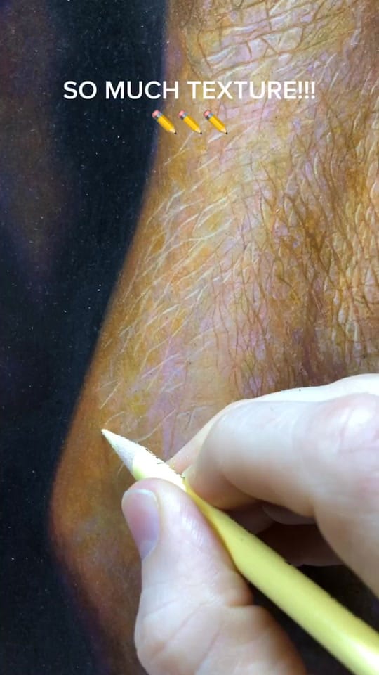 Post 8 by Jesse Lane Art on TikTok (video)