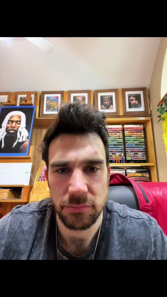 Post 5 by Jesse Lane Art on TikTok (video)