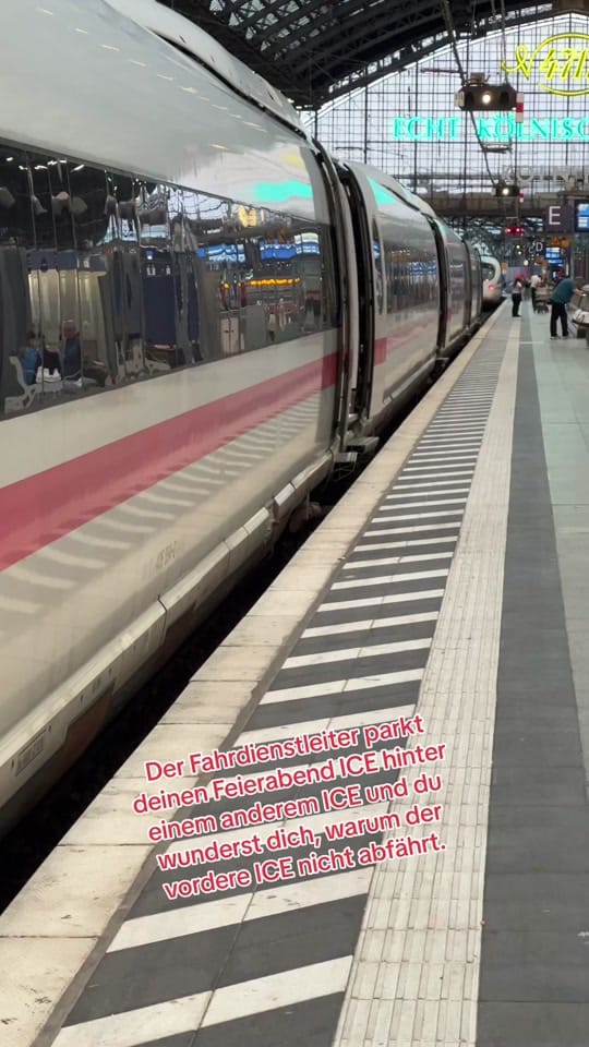Post 9 by Jan on TikTok (video)