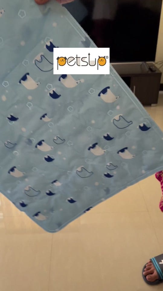 Post 10 by toshii🐶 on TikTok (video)