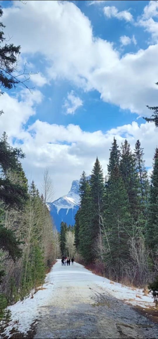 Post 5 by Ankara Haven | Smart Finds on TikTok (video)