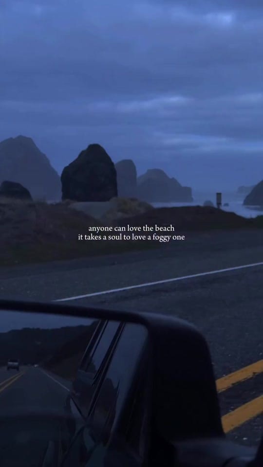 Post 3 by TreeHouseBus on TikTok (video)